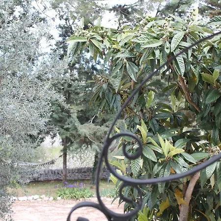 Casale Settevolte - Viola Apartment Monopoli